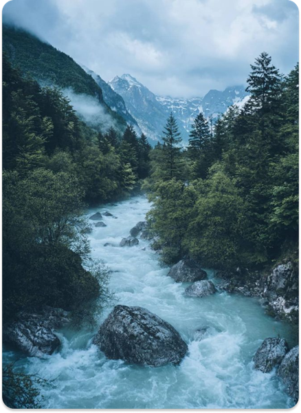 First Image